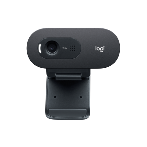 Internetinė kamera Logitech C505e HD Webcam (960-001372) juoda